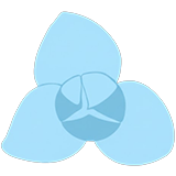 flower left